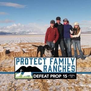 Meet your Posher, Tomandtiffany